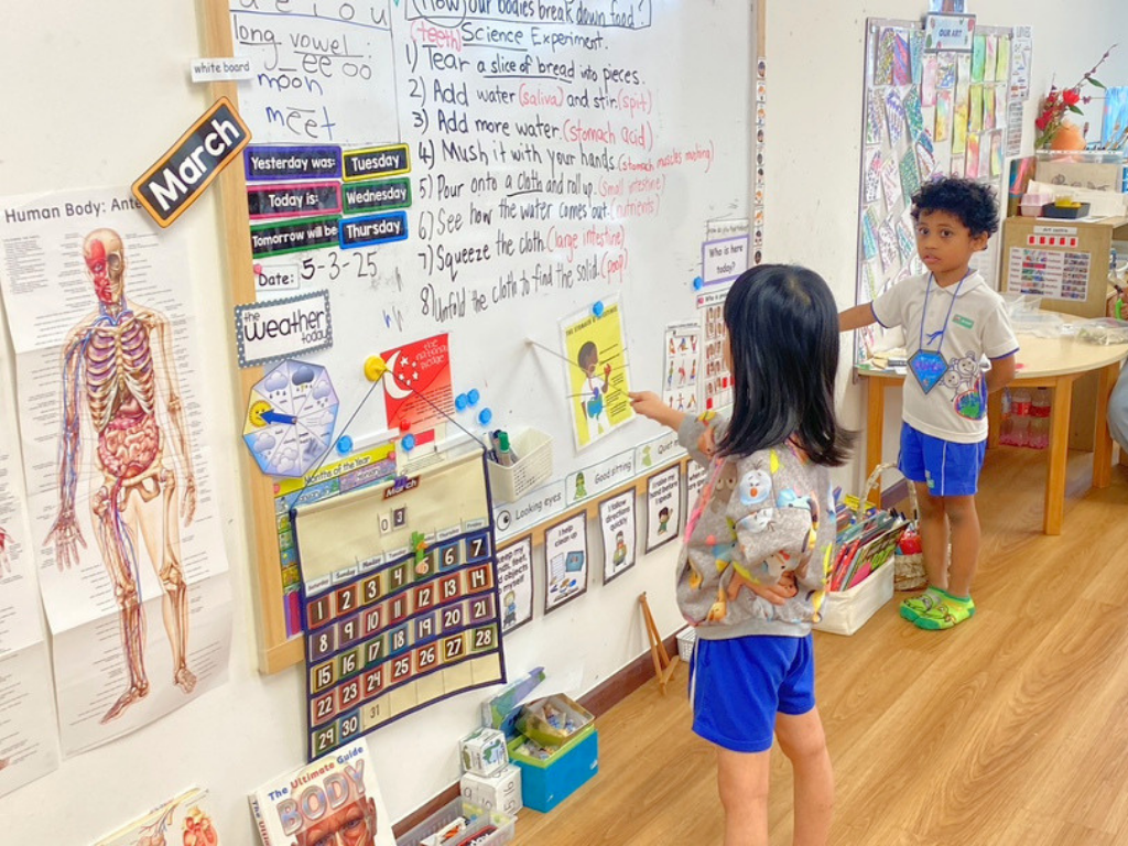 K2 Unit of Inquiry on the skeletal system